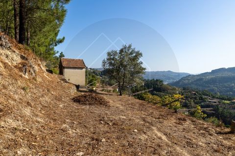 Villa i Penhalonga e Pacos de Gaiolo, Porto, Penhalonga e Pacos de Gaiolo - € 385.000 | Ref: CAS_172 - foto 39