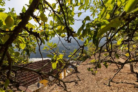 Villa i Penhalonga e Pacos de Gaiolo, Porto, Penhalonga e Pacos de Gaiolo - € 385.000 | Ref: CAS_172 - foto 41