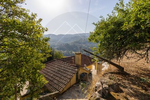 Villa i Penhalonga e Pacos de Gaiolo, Porto, Penhalonga e Pacos de Gaiolo - € 385.000 | Ref: CAS_172 - foto 42