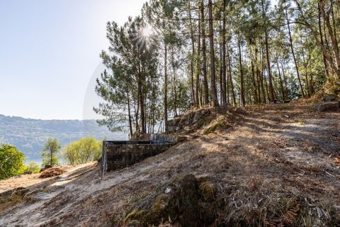 Villa i Penhalonga e Pacos de Gaiolo, Porto, Penhalonga e Pacos de Gaiolo - € 385.000 | Ref: CAS_172 - foto 43