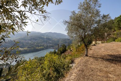 Villa i Penhalonga e Pacos de Gaiolo, Porto, Penhalonga e Pacos de Gaiolo - € 385.000 | Ref: CAS_172 - foto 45