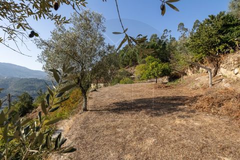 Villa i Penhalonga e Pacos de Gaiolo, Porto, Penhalonga e Pacos de Gaiolo - € 385.000 | Ref: CAS_172 - foto 46