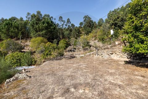 Villa i Penhalonga e Pacos de Gaiolo, Porto, Penhalonga e Pacos de Gaiolo - € 385.000 | Ref: CAS_172 - foto 47