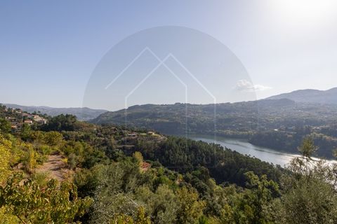 Villa i Penhalonga e Pacos de Gaiolo, Porto, Penhalonga e Pacos de Gaiolo - € 385.000 | Ref: CAS_172 - foto 49