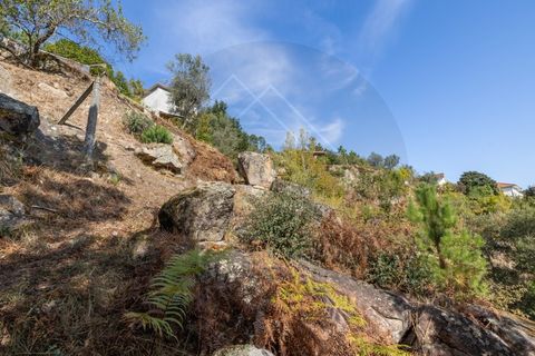 Villa i Penhalonga e Pacos de Gaiolo, Porto, Penhalonga e Pacos de Gaiolo - € 385.000 | Ref: CAS_172 - foto 50