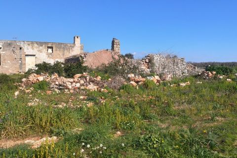 Landejendom i Casarano, Lecce, Casarano - € 189.000 | Ref: CASEA-189 - foto 9