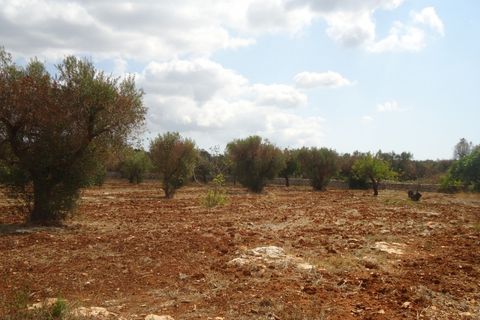 Landejendom i Casarano, Lecce, Casarano - € 189.000 | Ref: CASEA-189 - foto 10