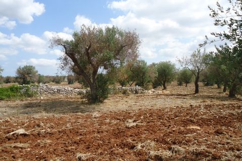 Landejendom i Casarano, Lecce, Casarano - € 189.000 | Ref: CASEA-189 - foto 11