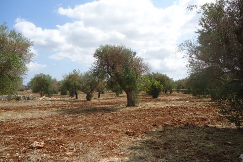 Landejendom i Casarano, Lecce, Casarano - € 189.000 | Ref: CASEA-189 - foto 12
