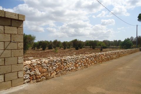 Landejendom i Casarano, Lecce, Casarano - € 189.000 | Ref: CASEA-189 - foto 14