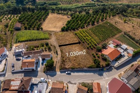 Helårsgrund i Alcobaca, Leiria, Alcobaca - € 62.500 | Ref: SÒL_38 - foto 2