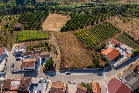 Helårsgrund i Alcobaca, Leiria, Alcobaca - € 62.500 | Ref: SÒL_38 - foto 8