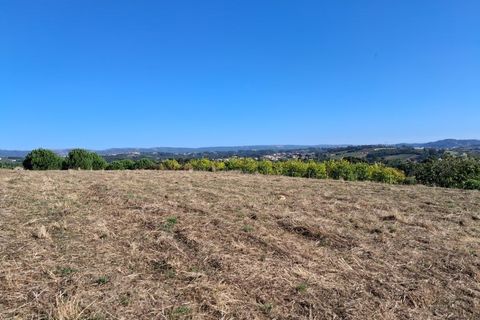 Helårsgrund i Alcobaca, Leiria, Alcobaca - € 62.500 | Ref: SÒL_38 - foto 11