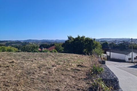 Helårsgrund i Alcobaca, Leiria, Alcobaca - € 62.500 | Ref: SÒL_38 - foto 13