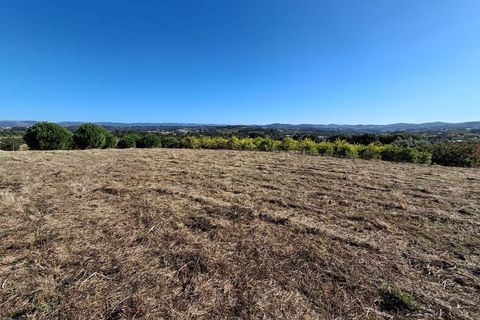 Helårsgrund i Alcobaca, Leiria, Alcobaca - € 62.500 | Ref: SÒL_38 - foto 15