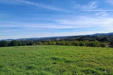 Helårsgrund i Alcobaca, Leiria, Alcobaca - € 62.500 | Ref: SÒL_38 - foto 1