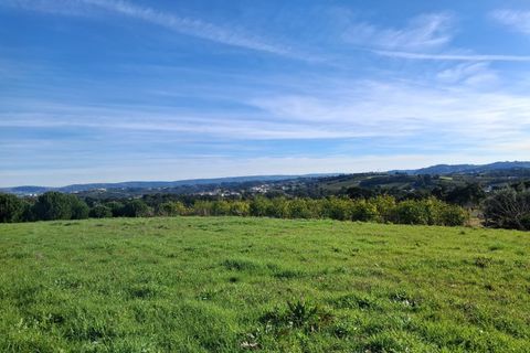 Helårsgrund i Alcobaca, Leiria, Alcobaca - € 62.500 | Ref: SÒL_38 - foto 4