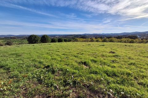 Helårsgrund i Alcobaca, Leiria, Alcobaca - € 62.500 | Ref: SÒL_38 - foto 21