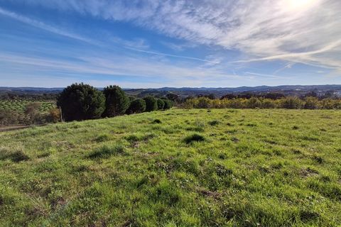Helårsgrund i Alcobaca, Leiria, Alcobaca - € 62.500 | Ref: SÒL_38 - foto 23