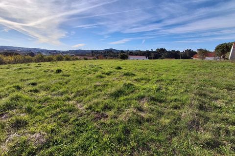 Helårsgrund i Alcobaca, Leiria, Alcobaca - € 62.500 | Ref: SÒL_38 - foto 24