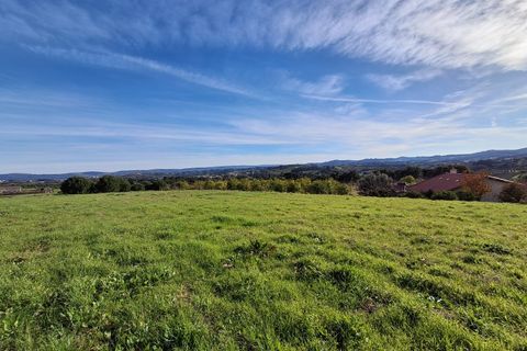 Helårsgrund i Alcobaca, Leiria, Alcobaca - € 62.500 | Ref: SÒL_38 - foto 25