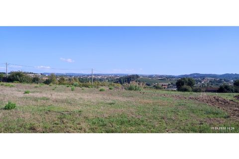 Villa i Alcobaca, Leiria, Alcobaca - € 540.000 | Ref: CAS_41 - foto 7