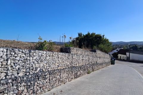 Helårsgrund i Alcobaca, Leiria, Alcobaca - € 97.500 | Ref: Terreno Sol 1 - foto 6