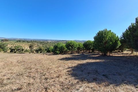 Helårsgrund i Alcobaca, Leiria, Alcobaca - € 97.500 | Ref: Terreno Sol 1 - foto 2