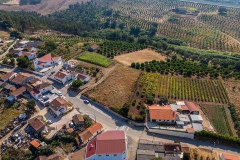 Helårsgrund i Alcobaca, Leiria, Alcobaca - € 97.500 | Ref: Terreno Sol 1 - foto 10