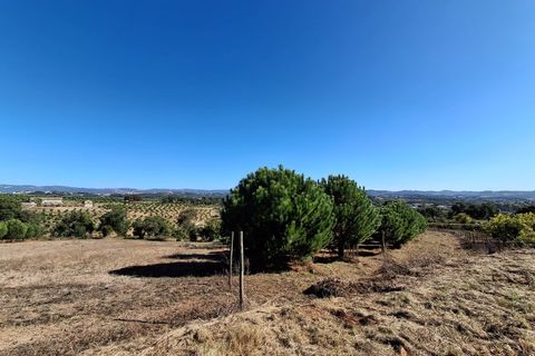Helårsgrund i Alcobaca, Leiria, Alcobaca - € 97.500 | Ref: Terreno Sol 1 - foto 11