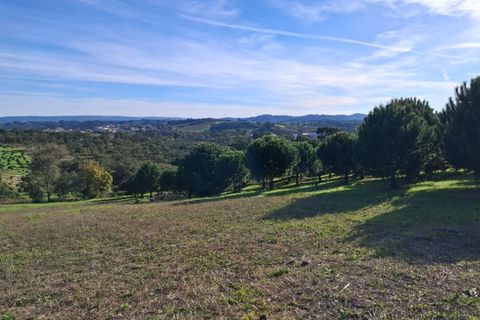 Helårsgrund i Alcobaca, Leiria, Alcobaca - € 97.500 | Ref: Terreno Sol 1 - foto 13