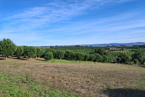 Helårsgrund i Alcobaca, Leiria, Alcobaca - € 97.500 | Ref: Terreno Sol 1 - foto 14