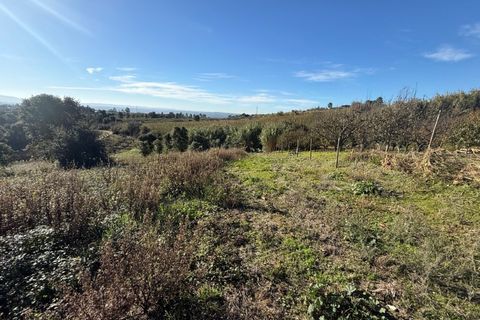 Helårsgrund i Obidos, Leiria, Obidos - € 70.000 | Ref: MMPJ2951 - foto 10