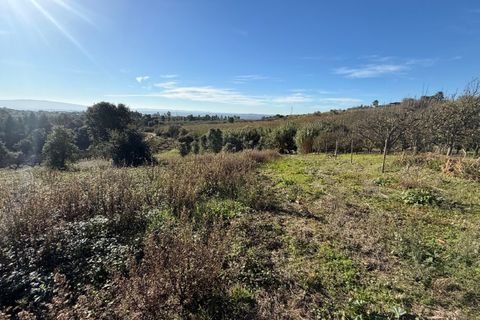 Helårsgrund i Obidos, Leiria, Obidos - € 70.000 | Ref: MMPJ2951 - foto 11