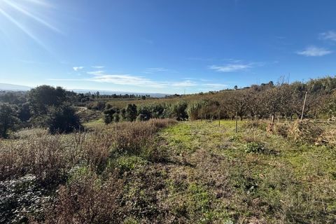 Helårsgrund i Obidos, Leiria, Obidos - € 70.000 | Ref: MMPJ2951 - foto 16