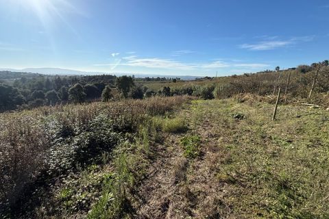 Helårsgrund i Obidos, Leiria, Obidos - € 70.000 | Ref: MMPJ2951 - foto 17