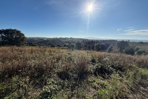 Helårsgrund i Obidos, Leiria, Obidos - € 70.000 | Ref: MMPJ2951 - foto 18