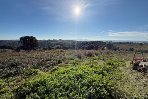 Helårsgrund i Obidos, Leiria, Obidos - € 70.000 | Ref: MMPJ2951 - foto 20
