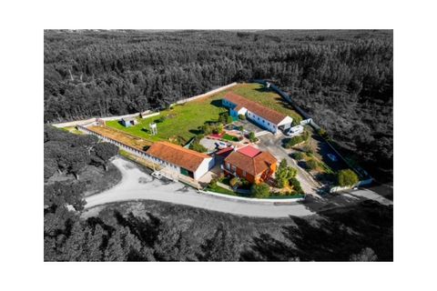 Villa a Rio Maior, Santarem, Rio Maior - € 460.000 | Ref: MMPL2953 - foto 8