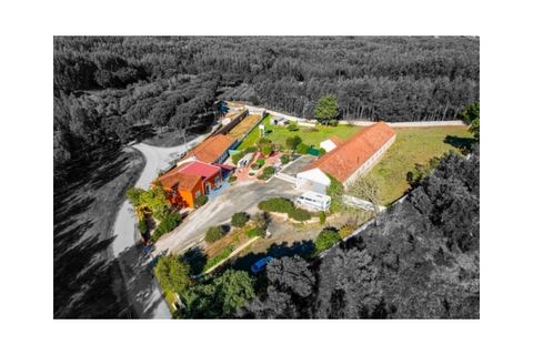 Villa a Rio Maior, Santarem, Rio Maior - € 460.000 | Ref: MMPL2953 - foto 10