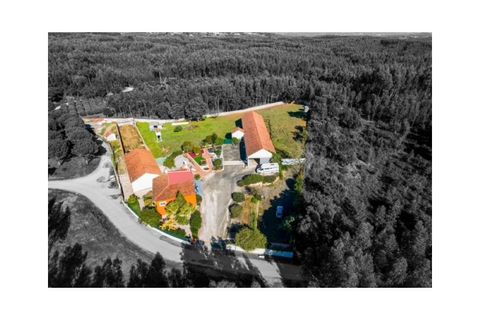 Villa a Rio Maior, Santarem, Rio Maior - € 460.000 | Ref: MMPL2953 - foto 17