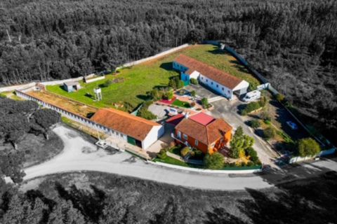 Villa a Rio Maior, Santarem, Rio Maior - € 460.000 | Ref: MMPL2953 - foto 24