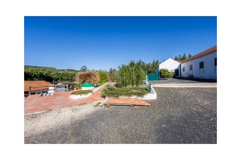 Villa a Rio Maior, Santarem, Rio Maior - € 460.000 | Ref: MMPL2953 - foto 35