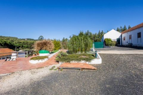 Villa a Rio Maior, Santarem, Rio Maior - € 460.000 | Ref: MMPL2953 - foto 37