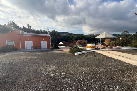 Villa a Rio Maior, Santarem, Rio Maior - € 460.000 | Ref: MMPL2953 - foto 42