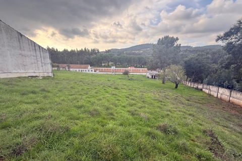 Villa a Rio Maior, Santarem, Rio Maior - € 460.000 | Ref: MMPL2953 - foto 49