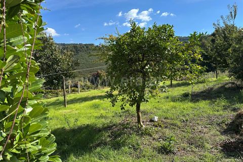 Villa i Ponte de Lima, Viana do Castelo, Ponte de Lima - € 425.000 | Ref: 311250241 - foto 35