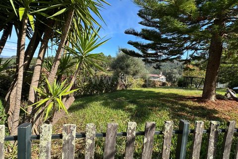 Villa i Ponte de Lima, Viana do Castelo, Ponte de Lima - € 425.000 | Ref: 311250241 - foto 31