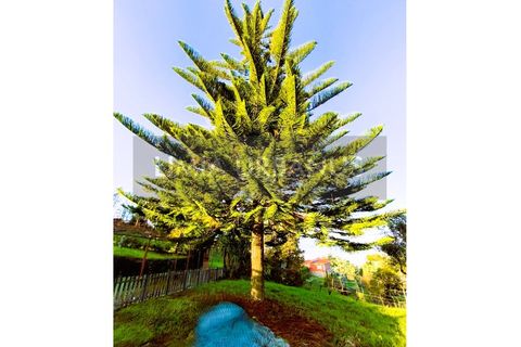Villa i Ponte de Lima, Viana do Castelo, Ponte de Lima - € 425.000 | Ref: CAS_1108 - foto 11