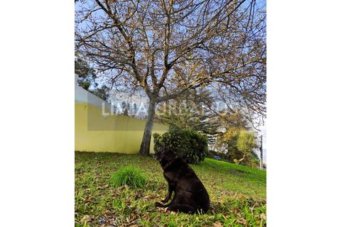 Villa i Ponte de Lima, Viana do Castelo, Ponte de Lima - € 425.000 | Ref: CAS_1108 - foto 16